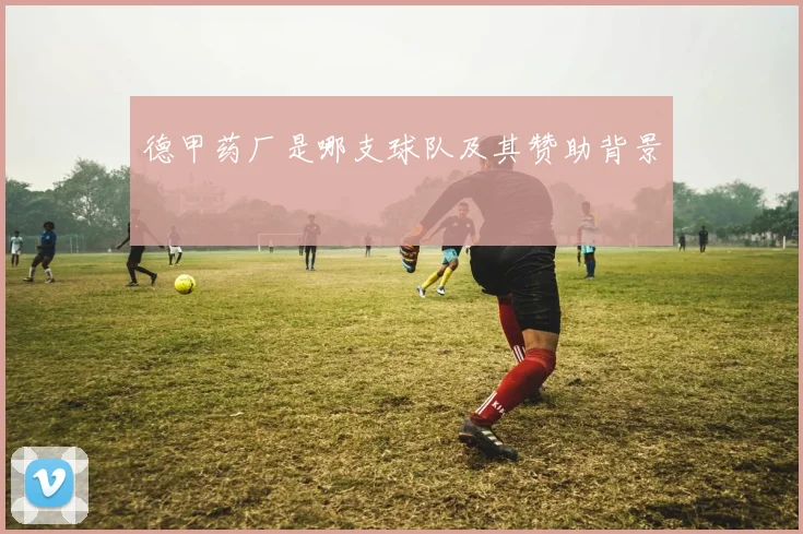 德甲药厂是哪支球队及其赞助背景