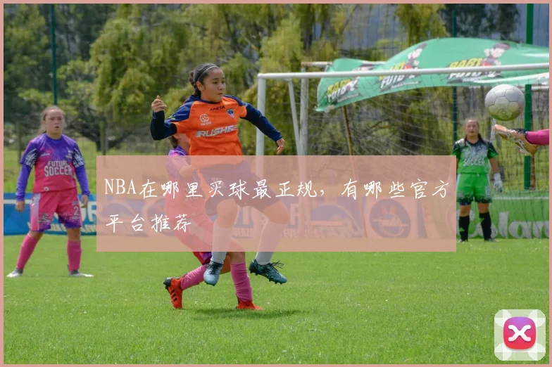 NBA在哪里买球最正规，有哪些官方平台推荐