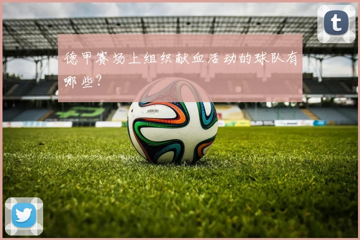 德甲赛场上组织献血活动的球队有哪些？